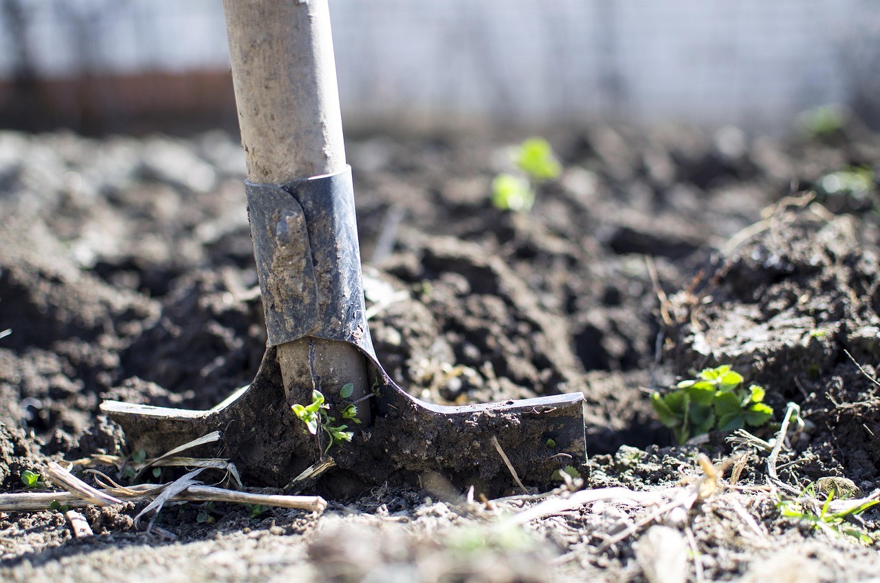 Ein Kräutergarten für Kinder: Mehr als nur ein schönes Projekt