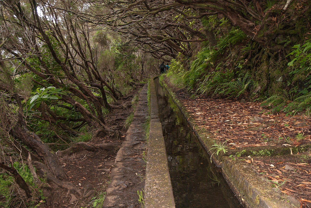 Urlaub auf Madeira – Ausflugs- & Insidertipps für die Blumeninsel