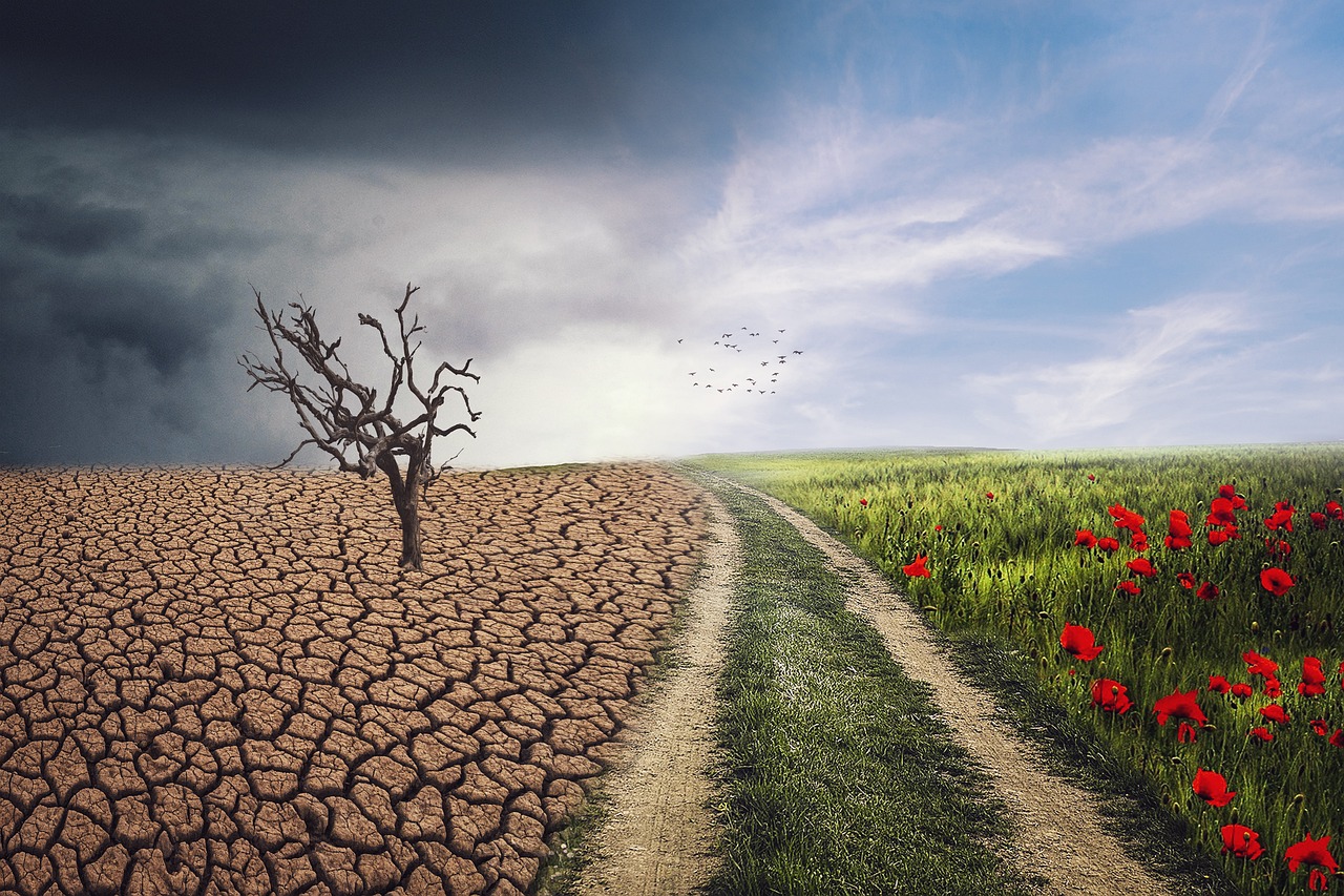 Ein neuer Weg, um deine Klimaangst zu verstehen